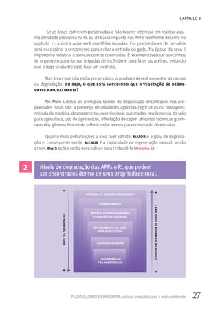 27PLANTAR, CRIAR E CONSERVAR: unindo produtividade e meio ambiente
CAPÍTULO 2
Se as áreas estiverem preservadas e não houver interesse em realizar algu-
ma atividade produtiva na RL ou de baixo impacto nas APPs (conforme descrito no
capítulo 1), a única ação será mantê-las isoladas. Em propriedades de pecuária
será necessário o cercamento para evitar a entrada do gado. Na época da seca é
importante redobrar a atenção com as queimadas. É recomendável que os vizinhos
se organizem para formar brigadas de incêndio e para fazer os aceiros, evitando
que o fogo se alastre caso haja um incêndio.
Nas áreas que não estão preservadas, o produtor deverá encontrar as causas
da degradação. ou seja, o que está impedindo que a vegetação se desen-
volva naturalmente?
No Mato Grosso, os principais fatores de degradação encontrados nas pro-
priedades rurais são: a presença de atividades agrícolas (agricultura ou pastagem),
retirada de madeira, desmatamento, ocorrência de queimadas, revolvimento do solo
para agricultura, uso de agrotóxicos, infestação de capim africanos (como as gramí-
neas dos gêneros Brachiaria e Panicum) e aterros para construção de estradas.
Quanto mais perturbações a área tiver sofrido, maior é o grau de degrada-
ção e, consequentemente, menor é a capacidade de regeneração natural, sendo
assim, mais ações serão necessárias para restaurá-la (figura 2).
2 Níveis de degradação das APPs e RL que podem
ser encontrados dentro de uma propriedade rural.
 