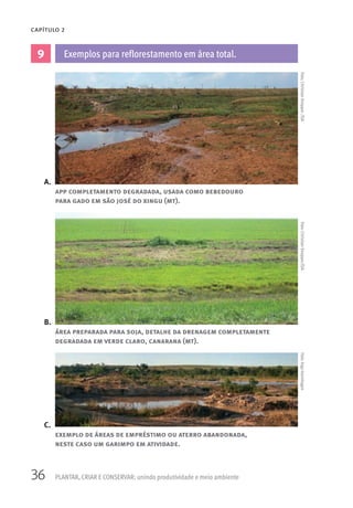 36 PLANTAR, CRIAR E CONSERVAR: unindo produtividade e meio ambiente
CAPÍTULO 2
9 Exemplos para reflorestamento em área total.
A.
B.
C.
app completamento degradada, usada como bebedouro
para gado em são josé do xingu (mt).
área preparada para soja, detalhe da drenagem completamente
degradada em verde claro, canarana (mt).
exemplo de áreas de empréstimo ou aterro abandonada,
neste caso um garimpo em atividade.
Foto:ChristianKnepper/ISAFoto:IngoIsernhagenFoto:ChristianKnepper/ISA
 