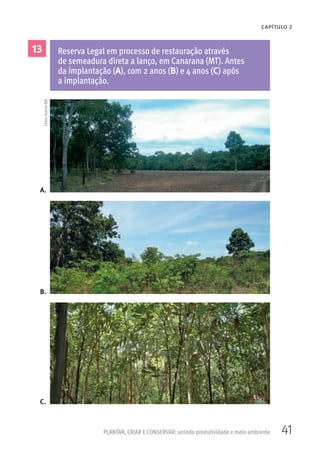 41PLANTAR, CRIAR E CONSERVAR: unindo produtividade e meio ambiente
CAPÍTULO 2
13 Reserva Legal em processo de restauração através
de semeadura direta a lanço, em Canarana (MT). Antes
da implantação (A), com 2 anos (B) e 4 anos (C) após
a implantação.
A.
B.
C.
Fotos:AcervoISA
 