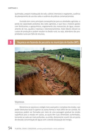 54 PLANTAR, CRIAR E CONSERVAR: unindo produtividade e meio ambiente
CAPÍTULO 3
queimadas, preparo inadequado do solo, cultivos intensivos e esgotantes, ausência
de planejamento de uso dos solos e ausência de práticas conservacionistas.
A erosão tem como principais consequências para as atividades agrícolas: a
perda da capacidade produtiva dos solos agrícolas, o que leva a maiores gastos
com fertilizantes e agroquímicos, esgotamento dos mananciais de água, assore-
amento de rios, açudes e represas e desmoronamentos. Estes fatores elevam os
custos de produção e podem resultar no êxodo rural, ou seja, abandono das pro-
priedades rurais por falta de recursos.
5 Voçoroca em fazenda de pecuária no município de Itaúba (MT).
Fonte:IngoIsernhagen
Voçorocas
Denomina-se voçoroca o estágio mais avançado e complexo da erosão, cujo
poder destrutivo local é superior às outras formas e mais difícil de ser contido. As
voçorocas podem ser formadas por meio de uma passagem gradual da erosão
superficial para a erosão em sulcos, as quais têm suas dimensões aumentadas,
tornando-se cada vez mais profundas, ou então, diretamente a partir de um ponto
de elevada concentração de águas sem a devida dissipação de energia.
 