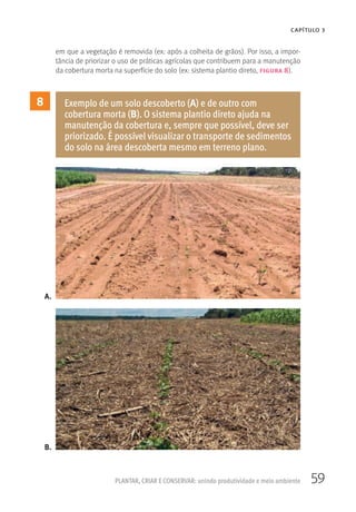 59PLANTAR, CRIAR E CONSERVAR: unindo produtividade e meio ambiente
CAPÍTULO 3
em que a vegetação é removida (ex: após a colheita de grãos). Por isso, a impor-
tância de priorizar o uso de práticas agrícolas que contribuem para a manutenção
da cobertura morta na superfície do solo (ex: sistema plantio direto, figura 8).
8 Exemplo de um solo descoberto (A) e de outro com
cobertura morta (B). O sistema plantio direto ajuda na
manutenção da cobertura e, sempre que possível, deve ser
priorizado. É possível visualizar o transporte de sedimentos
do solo na área descoberta mesmo em terreno plano.
A.
B.
 