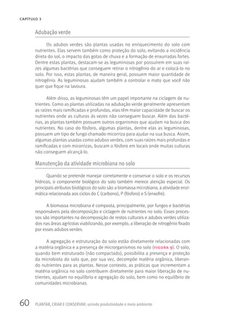 60 PLANTAR, CRIAR E CONSERVAR: unindo produtividade e meio ambiente
CAPÍTULO 3
Adubação verde
Os adubos verdes são plantas usadas no enriquecimento do solo com
nutrientes. Elas servem também como proteção do solo, evitando a incidência
direta do sol, o impacto das gotas de chuva e a formação de enxurradas fortes.
Dentre estas plantas, destacam-se as leguminosas por possuírem em suas raí-
zes algumas bactérias que conseguem retirar o nitrogênio do ar e colocá-lo no
solo. Por isso, estas plantas, de maneira geral, possuem maior quantidade de
nitrogênio. As leguminosas ajudam também a controlar o mato que você não
quer que fique na lavoura.
Além disso, as leguminosas têm um papel importante na ciclagem de nu-
trientes. Como as plantas utilizadas na adubação verde geralmente apresentam
as raízes mais ramificadas e profundas, elas têm maior capacidade de buscar os
nutrientes onde as culturas às vezes não conseguem buscar. Além das bacté-
rias, as plantas também possuem outros organismos que ajudam na busca dos
nutrientes. No caso do fósforo, algumas plantas, dentre elas as leguminosas,
possuem um tipo de fungo chamado micorriza para ajudar na sua busca. Assim,
algumas plantas usadas como adubos verdes, com suas raízes mais profundas e
ramificadas e com micorrizas, buscam o fósforo em locais onde muitas culturas
não conseguem alcançá-lo.
Manutenção da atividade microbiana no solo
Quando se pretende manejar corretamente e conservar o solo e os recursos
hídricos, o componente biológico do solo também merece atenção especial. Os
principais atributos biológicos do solo são a biomassa microbiana, a atividade enzi-
mática relacionada aos ciclos do C (carbono), P (fósforo) e S (enxofre).
A biomassa microbiana é composta, principalmente, por fungos e bactérias
responsáveis pela decomposição e ciclagem de nutrientes no solo. Esses proces-
sos são importantes na decomposição de restos culturais e adubos verdes utiliza-
dos nas áreas agrícolas viabilizando, por exemplo, a liberação de nitrogênio fixado
por esses adubos verdes.
A agregação e estruturação do solo estão diretamente relacionadas com
a matéria orgânica e a presença de microrganismos no solo (figura 9). O solo,
quando bem estruturado (não compactado), possibilita a presença e proteção
da microbiota do solo que, por sua vez, decompõe matéria orgânica, liberan-
do nutrientes para as plantas. Nesse contexto, as práticas que incrementam a
matéria orgânica no solo contribuem diretamente para maior liberação de nu-
trientes, ajudam no equilíbrio e agregação do solo, bem como no equilíbrio de
comunidades microbianas.
 