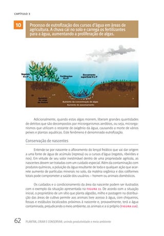 62 PLANTAR, CRIAR E CONSERVAR: unindo produtividade e meio ambiente
CAPÍTULO 3
Adicionalmente, quando estas algas morrem, liberam grandes quantidades
de detritos que são decompostos por microrganismos aeróbios, ou seja, microrga-
nismos que utilizam o restante de oxigênio da água, causando a morte de vários
peixes e plantas aquáticas. Este fenômeno é denominado eutrofização.
Conservação de nascentes
Entende-se por nascente o afloramento do lençol freático que vai dar origem
a uma fonte de água de acúmulo (represa) ou a cursos d’água (regatos, ribeirões e
rios). Em virtude de seu valor inestimável dentro de uma propriedade agrícola, as
nascentes devem ser tratadas com um cuidado especial. Além da contaminação com
produtos químicos, a poluição da água resultante de toda e qualquer ação que acar-
rete aumento de partículas minerais no solo, da matéria orgânica e dos coliformes
totais pode comprometer a saúde dos usuários – homem ou animais domésticos.
Os cuidados e o condicionamento da área da nascente podem ser ilustrados
com o exemplo da situação apresentada na figura 11. De acordo com a situação
inicial, o proprietário de um sítio que planta algodão, milho e pastagem na distribui-
ção das áreas de cultivo permite aos animais livre acesso à água, com chiqueiros,
fossas e estábulos localizados próximos à nascente e, provavelmente, terá a água
contaminada, prejudicando o meio ambiente, os animais e a si próprio (figura 11a).
10 Processo de eutrofização dos cursos d’água em áreas de
agricultura. A chuva cai no solo e carrega os fertilizantes
para a água, aumentando a proliferação de algas.
 