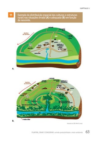 63PLANTAR, CRIAR E CONSERVAR: unindo produtividade e meio ambiente
CAPÍTULO 3
11 Exemplo da distribuição espacial das culturas e estruturas
rurais nas situações errada (A) e adequada (B) em função
da nascente.
A.
B.
Adaptado de SÃO PAULO (2009).
 