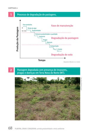 68
CAPÍTULO 4
PLANTAR, CRIAR E CONSERVAR: unindo produtividade e meio ambiente
1
2
ProduçãodaPastagem
Tempo
Fase de manutenção
Fase produtiva
-N
-N, -P, etc
Perda de vigor
Produtividade
Perda de produtividade e qualidade
Invasoras
Pragas
Doenças
Compactação
Erosão
Degradação da pastagem
Degradação do solo
Processo de degradação de pastagens.
Pastagem degradada com presença de invasores,
pragas e doenças em Terra Nova do Norte (MT).
Adaptado de Macedo et. al. (2006).
Foto:BrunoPedreira(2012)
 