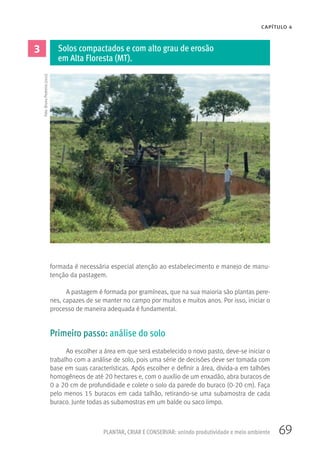 69
CAPÍTULO 4
PLANTAR, CRIAR E CONSERVAR: unindo produtividade e meio ambiente
formada é necessária especial atenção ao estabelecimento e manejo de manu-
tenção da pastagem.
A pastagem é formada por gramíneas, que na sua maioria são plantas pere-
nes, capazes de se manter no campo por muitos e muitos anos. Por isso, iniciar o
processo de maneira adequada é fundamental.
Primeiro passo: análise do solo
Ao escolher a área em que será estabelecido o novo pasto, deve-se iniciar o
trabalho com a análise de solo, pois uma série de decisões deve ser tomada com
base em suas características. Após escolher e definir a área, divida-a em talhões
homogêneos de até 20 hectares e, com o auxílio de um enxadão, abra buracos de
0 a 20 cm de profundidade e colete o solo da parede do buraco (0-20 cm). Faça
pelo menos 15 buracos em cada talhão, retirando-se uma subamostra de cada
buraco. Junte todas as subamostras em um balde ou saco limpo.
3 Solos compactados e com alto grau de erosão
em Alta Floresta (MT).
Foto:BrunoPedreira(2011)
 