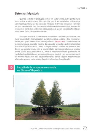79
CAPÍTULO 4
PLANTAR, CRIAR E CONSERVAR: unindo produtividade e meio ambiente
Sistemas silvipastoris
Quando se trata de produção animal em Mato Grosso, outro ponto muito
importante é a sombra, ou a falta dela. Por isso, é recomendada a utilização de
sistemas silvipastoris, que é a produção integrada de árvores, forrageiras e animais
em uma mesma área. Para seu desenvolvimento em níveis ótimos os animais ne-
cessitam de condições ambientais adequadas para que os processos fisiológicos
transcorram dentro de sua normalidade.
Para que os animais domésticos se mantenham saudáveis, produtivos e com
maior longevidade, eles necessitam que a temperatura corporal esteja entre certos
limites para que o metabolismo não seja afetado (figura 10). Existem limites de
temperatura para obtenção máxima da produção segundo o potencial genético
dos animais (PEREIRA et al., 2002). A importância da sombra nos sistemas resi-
de em sua estreita ligação com a produtividade, ganhos reprodutivos e a saúde
animal (ASSIS, 1995; PEREIRA et al., 2002). É importante lembrar que mesmo em
condições insatisfatórias, os animais continuam a produzir com apenas os requisi-
tos mínimos necessários para a sua sobrevivência devido a alguns mecanismos de
adaptação, embora muito abaixo do potencial máximo de exploração.
10 Importância da sombra para os animais
em SistemasSilvipastoris.
Foto:DiegoAntônio(2012)
 