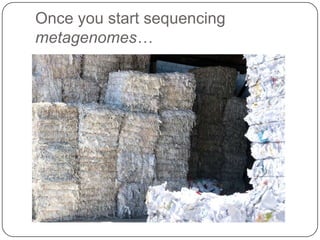 Once you start sequencing
metagenomes…
 