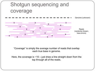 Shotgun sequencing and
coverage




 “Coverage” is simply the average number of reads that overlap
                  each true base in genome.

Here, the coverage is ~10 – just draw a line straight down from the
                  top through all of the reads.
 