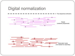 Digital normalization
 
