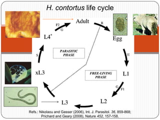 H. contortus life cycle




Refs.: Nikolaou and Gasser (2006), Int. J. Parasitol. 36, 859-868;
        Prichard and Geary (2008), Nature 452, 157-158.
 
