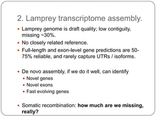 2. Lamprey transcriptome assembly.
 Lamprey genome is draft quality; low contiguity,
  missing ~30%.
 No closely related reference.
 Full-length and exon-level gene predictions are 50-
  75% reliable, and rarely capture UTRs / isoforms.

 De novo assembly, if we do it well, can identify
   Novel genes
   Novel exons
   Fast evolving genes


 Somatic recombination: how much are we missing,
  really?
 