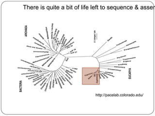 There is quite a bit of life left to sequence & assem




                            http://pacelab.colorado.edu/
 