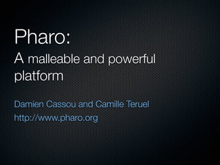Pharo:
A malleable and powerful
platform
Damien Cassou and Camille Teruel
http://www.pharo.org
 