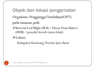 Obyek dan lokasi pengamatan
    Organisme Pengganggu Tumbuhan(OPT)
    pada tanaman padi:
        Bacterial Leaf Blight (BLB) / Hawar Daun Bakteri
        (HDB) / penyakit kresek (nama lokal)
        Lokasi:
          Kabupaten Karawang, Provinsi Jawa Barat




3   Ekspose Kegiatan "Hyperspectral-OPT" 18 Maret 2013
 