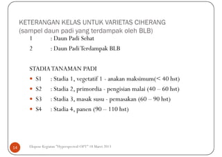 KETERANGAN KELAS UNTUK VARIETAS CIHERANG
     (sampel daun padi yang terdampak oleh BLB)
        1      : Daun Padi Sehat
        2      : Daun Padi Terdampak BLB

       STADIA TANAMAN PADI
         S1 : Stadia 1, vegetatif 1 - anakan maksimum(< 40 hst)
         S2 : Stadia 2, primordia - pengisian malai (40 – 60 hst)
         S3 : Stadia 3, masak susu - pemasakan (60 – 90 hst)
         S4 : Stadia 4, panen (90 – 110 hst)




14     Ekspose Kegiatan "Hyperspectral-OPT" 18 Maret 2013
 