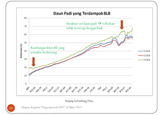 Struktur sel daun padi reflektan
                                          tidak terserap dengan baik




            Kandungan klorofil yang
            semakin berkurang




                                         Panjang Gelombang (Nm)

25   Ekspose Kegiatan "Hyperspectral-OPT" 18 Maret 2013
 