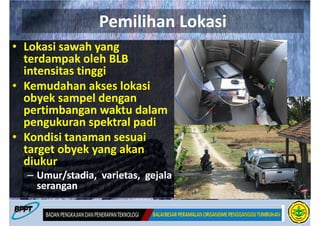 Pemilihan Lokasi
• Lokasi sawah yang
  terdampak oleh BLB
  intensitas tinggi
• Kemudahan akses lokasi
  obyek sampel dengan
  pertimbangan waktu dalam
  pengukuran spektral padi
• Kondisi tanaman sesuai
  target obyek yang akan
  diukur
  – Umur/stadia, varietas, gejala
    serangan
 