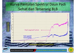Kurva Pantulan Spektral Daun Padi
Pantulan (%)
                   Sehat dan Terserang BLB




                        Padi vegetatif sehat


                      Padi vegetatif
                      terserang BLB



                                Panjang gelombang (nanometer)
 