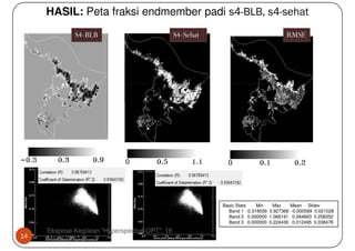 HASIL: Peta fraksi endmember padi s4-BLB, s4-sehat
             S4-BLB                             S4-Sehat                             RMSE




                                                           Basic Stats   Min   Max     Mean Stdev
                                                             Band 1 -0.318036 0.927366 -0.000569 0.021028
                                                             Band 2 0.000000 1.066191 0.084663 0.258352
                                                             Band 3 0.000000 0.224430 0.012495 0.038478
     Ekspose Kegiatan "Hyperspectral-OPT", 18
14   Maret 2013
 