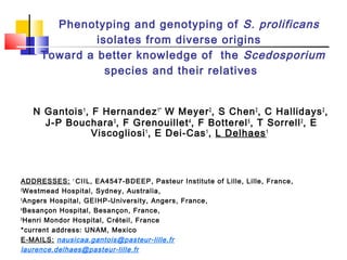 Phenotyping and genotyping of S. prolificans
isolates from diverse origins
Toward a better knowledge of the Scedosporium
species and their relatives
N Gantois1
, F Hernandez1*
W Meyer2
, S Chen2
, C Hallidays2
,
J-P Bouchara3
, F Grenouillet4
, F Botterel5
, T Sorrell2
, E
Viscogliosi1
, E Dei-Cas1
, L Delhaes1
ADDRESSES: 1
CIIL, EA4547-BDEEP, Pasteur Institute of Lille, Lille, France,
2
Westmead Hospital, Sydney, Australia,
3
Angers Hospital, GEIHP-University, Angers, France,
4
Besançon Hospital, Besançon, France,
5
Henri Mondor Hospital, Créteil, France
*current address: UNAM, Mexico
E-MAILS: nausicaa.gantois@pasteur-lille.fr
laurence.delhaes@pasteur-lille.fr
 