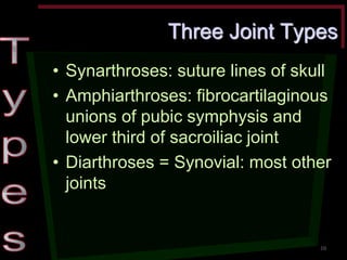 Three Joint Types •Synarthroses: suture lines of skull •Amphiarthroses: fibrocartilaginous unions of pubic symphysis and lower third of sacroiliac joint •Diarthroses = Synovial: most other joints 
10  