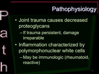 Pathophysiology •Joint trauma causes decreased proteoglycans –If trauma persistent, damage irreparable •Inflammation characterized by polymorphonuclear white cells –May be immunologic (rheumatoid, reactive) 
15  