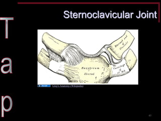 Sternoclavicular Joint 
43 
Gray's Anatomy (Wikipedia)  