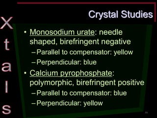 Crystal Studies •Monosodium urate: needle shaped, birefringent negative –Parallel to compensator: yellow –Perpendicular: blue •Calcium pyrophosphate: polymorphic, birefringent positive –Parallel to compensator: blue –Perpendicular: yellow 
59  