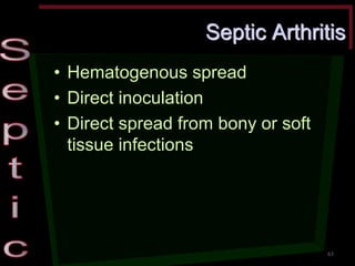 Septic Arthritis •Hematogenous spread •Direct inoculation •Direct spread from bony or soft tissue infections 
63  