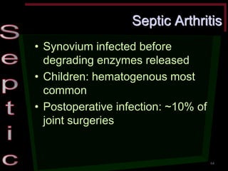 Septic Arthritis •Synovium infected before degrading enzymes released •Children: hematogenous most common •Postoperative infection: ~10% of joint surgeries 
64  