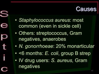 Causes •Staphylococcus aureus: most common (even in sickle cell) •Others: streptococcus, Gram negatives, anaerobes •N. gonorrhoeae: 20% monarticular •<6 months: E. coli, group B strep •IV drug users: S. aureus, Gram negatives 
65  