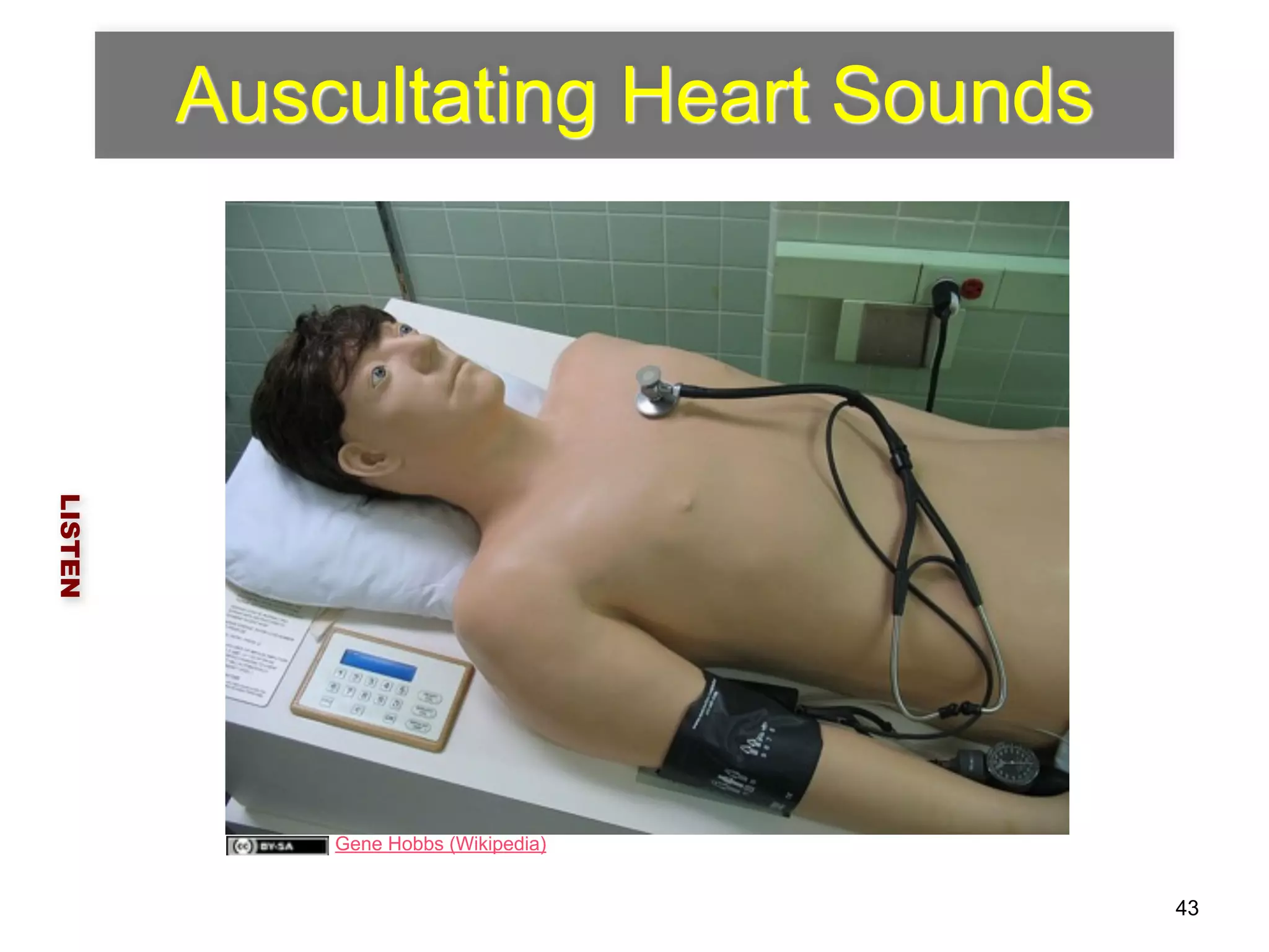 Auscultating Heart Sounds 
LISTEN 
43 
Gene Hobbs (Wikipedia) 
 