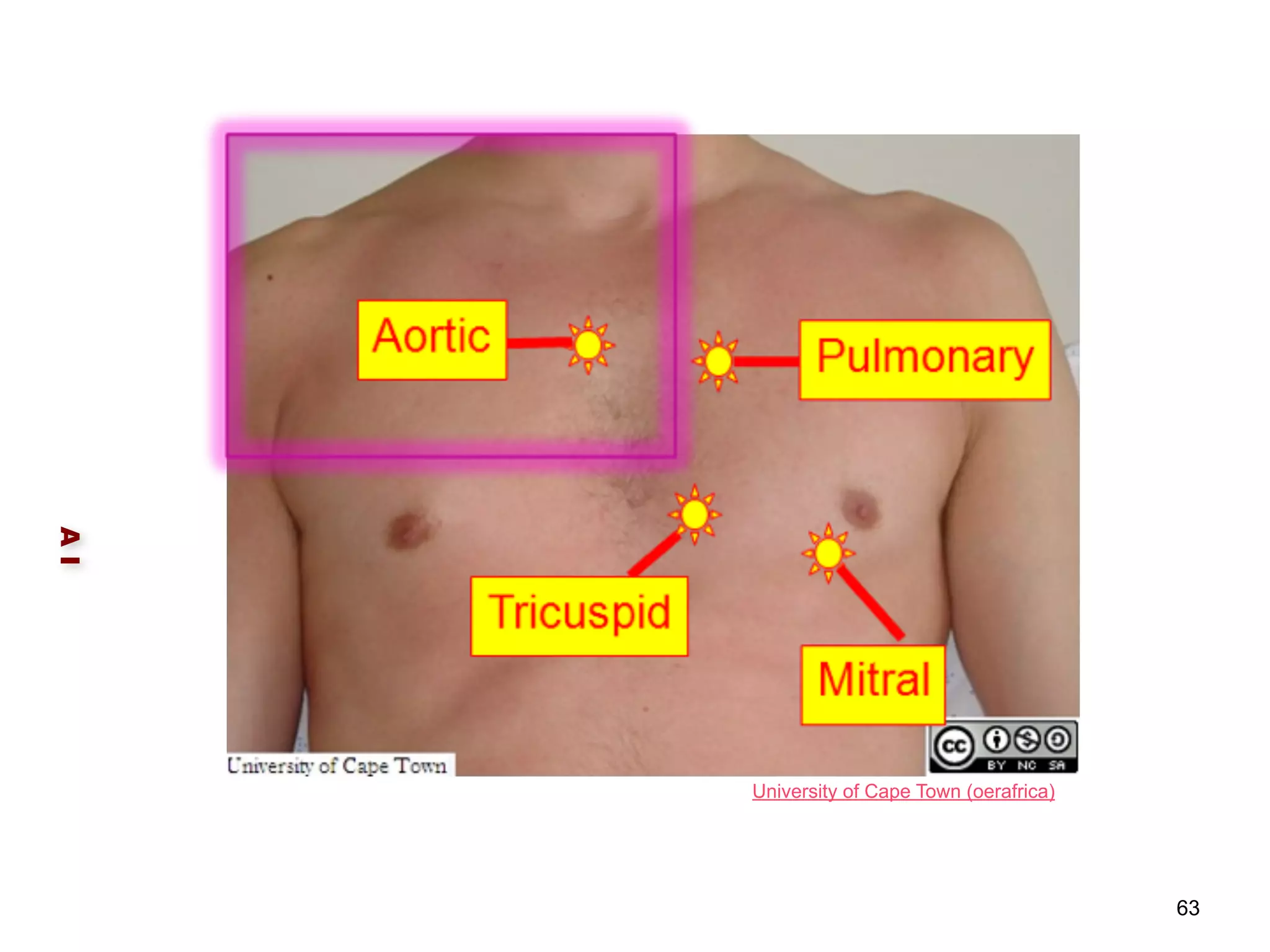 A I 
63 
University of Cape Town (oerafrica) 
 