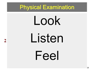 Physical Examination 
Look 
Listen 
Feel 
P E 
28 
 