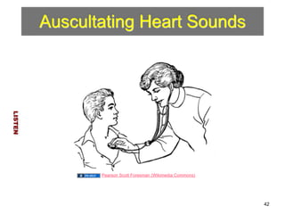 Auscultating Heart Sounds 
LISTEN 
42 
Pearson Scott Foresman (Wikimedia Commons) 
 