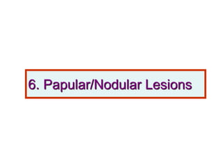 6. Papular/Nodular Lesions
 