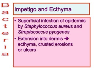 Impetigo and Ecthyma
• Superficial infection of epidermis
by Staphylococcus aureus and
Streptococcus pyogenes
• Extension into dermis 
ecthyma, crusted erosions
or ulcers
 