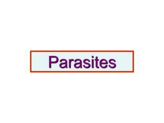 Parasites
 
