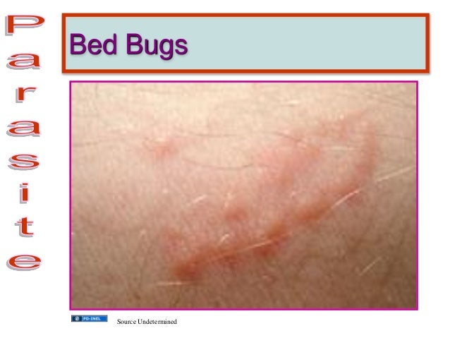 GEMC Cutaneous Emergency Resident Training