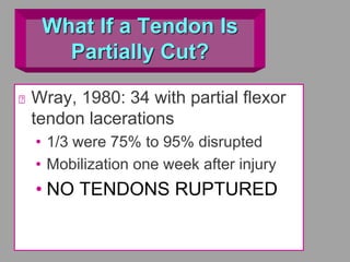 What If a Tendon Is
Partially Cut?
Wray, 1980: 34 with partial flexor
tendon lacerations
• 1/3 were 75% to 95% disrupted
• Mobilization one week after injury
• NO TENDONS RUPTURED
 