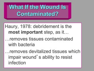 What If the Wound Is
Contaminated?
Haury, 1978: debridement is the
most important step, as it…
…removes tissues contaminated
with bacteria
…removes devitalized tissues which
impair wound’s ability to resist
infection
 