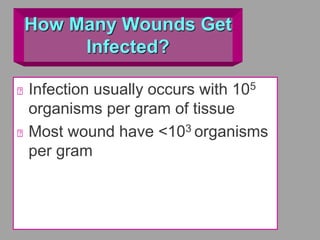 How Many Wounds Get
Infected?
Infection usually occurs with 105
organisms per gram of tissue
Most wound have <103 organisms
per gram
 