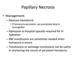 Papillary Necrosis
• Management:
– Measure hematocrit
• If hematuria persistent, can precipitate drop in
hemoglobin
– Admission to hospital typically required for IV
hydration
– RBC transfusions are sometimes needed when
hematuria is severe
– Transfusions or exchange transfusions can be useful
in shortening the course of persistent hematuria
40
 