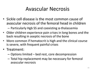 Avascular Necrosis
• Sickle cell disease is the most common cause of
avascular necrosis of the femoral head in children
– Particularly Hgb SS and coexisting α-thalassemia
• Older children experience pain crises in long bones and the
back resulting in aseptic necrosis of the bone
• More common if hematocrit is high and the clinical course
is severe, with frequent painful crises
• Treatment:
– Options limited – bed rest, core decompression
– Total hip replacement may be necessary for femoral
avascular necrosis
43
 