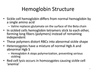 Hemoglobin Structure
• Sickle cell hemoglobin differs from normal hemoglobin by
a single amino acid
– Valine replaces glutamate on the surface of the Beta chain
• In sickled cells hemoglobin tetramers stick to each other,
forming long fibers (polymers) instead of remaining
independent
• These polymers distort RBCs into abnormal sickle shape
• Heterozygotes have a mixture of normal Hgb A and
abnormal Hgb S
– Hemoglobin A stops polymerization, preventing serious
sickling
• Red cell lysis occurs in homozygotes causing sickle cell
‘anemia’
9
 