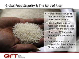 Global Food Security & The Role of Rice
• A small increase in global
food prices drives millions
into extreme poverty.
• R...