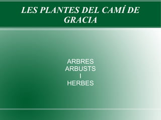 LES PLANTES DEL CAMÍ DE
        GRACIA



        ARBRES
        ARBUSTS
           I
        HERBES
 