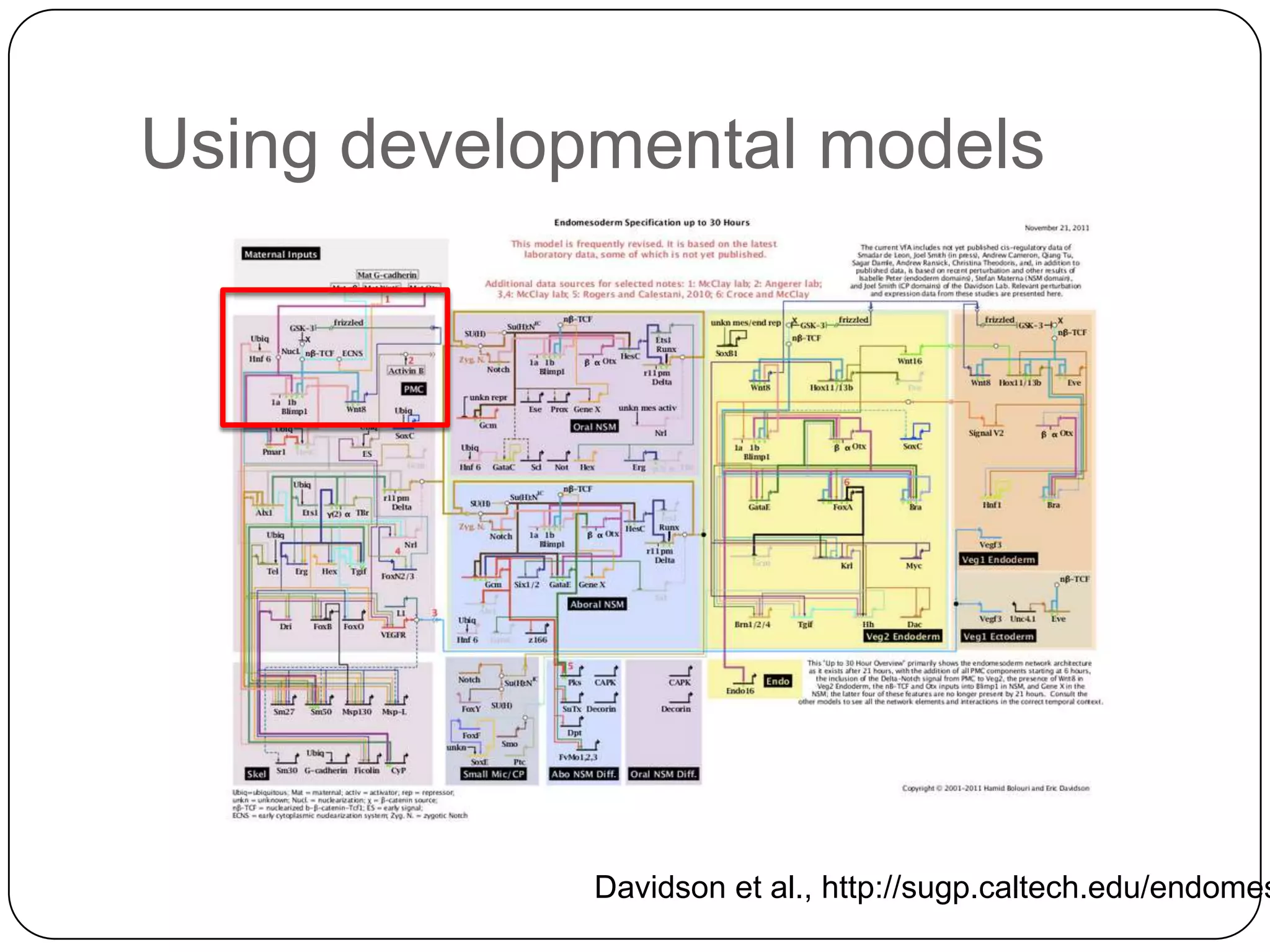 Using developmental models




             Davidson et al., http://sugp.caltech.edu/endomes
 