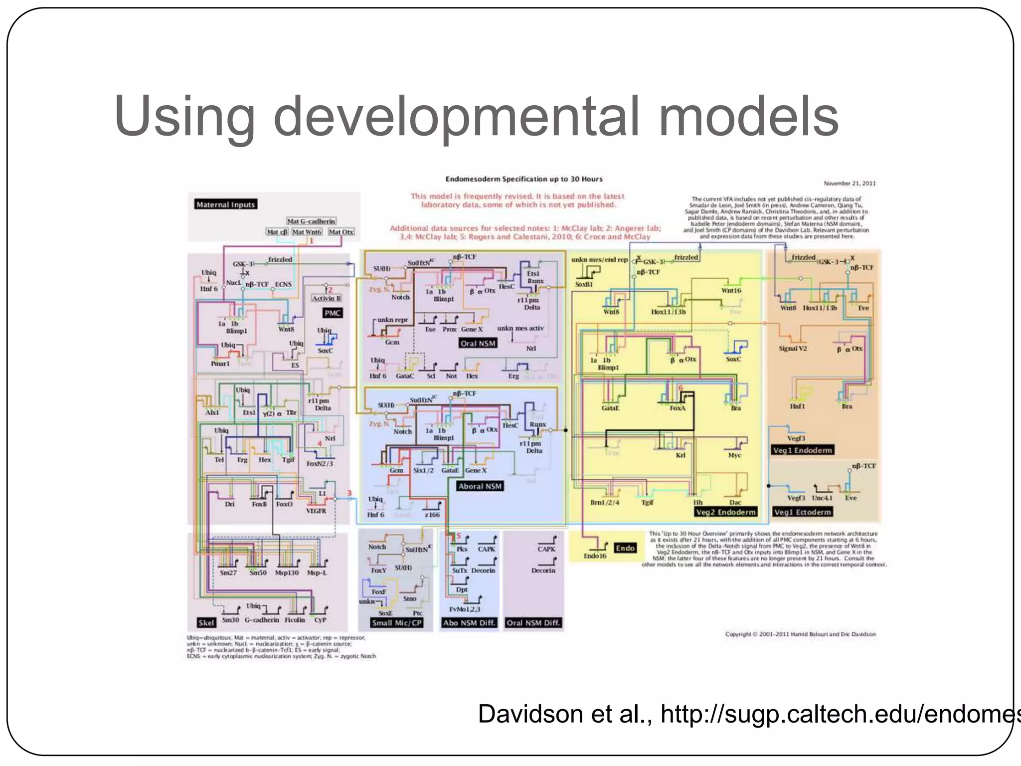 Using developmental models




             Davidson et al., http://sugp.caltech.edu/endomes
 